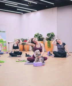 joga_kutya_belvaros_V30